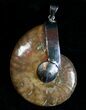 Large Iridescent Ammonite Pendant - Tall #6823-1